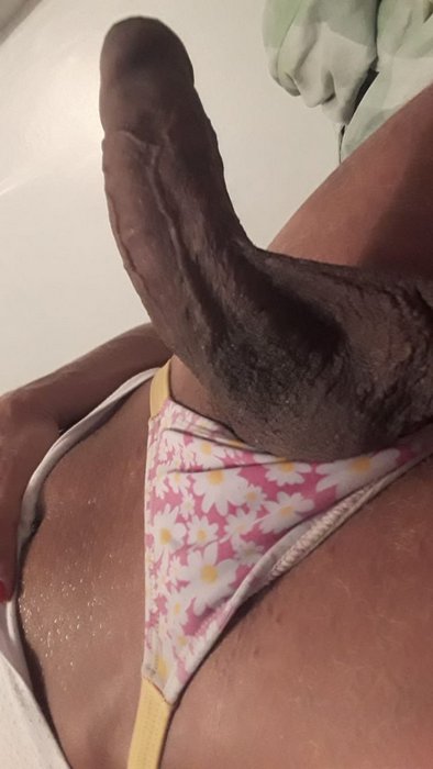 Paola Ponor | Transex Paola Ponor | Transex