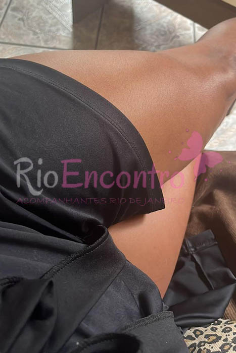 acompanhantes copacabana zona sul rj (4)